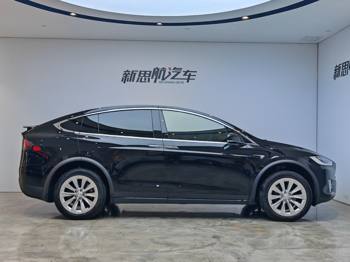 2020年1月特斯拉 Model X  2019款 長(zhǎng)續(xù)航版