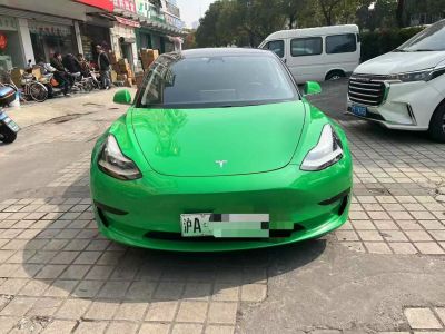 2020年11月 特斯拉 Model 3 Performance高性能全輪驅(qū)動版圖片