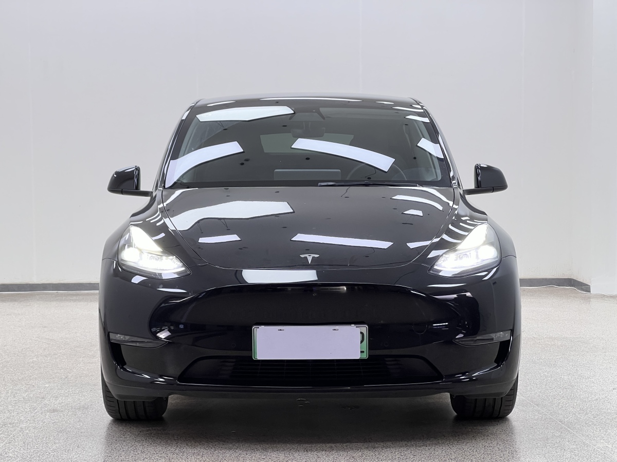 特斯拉 Model Y  2021款 改款 標(biāo)準(zhǔn)續(xù)航后驅(qū)升級(jí)版圖片