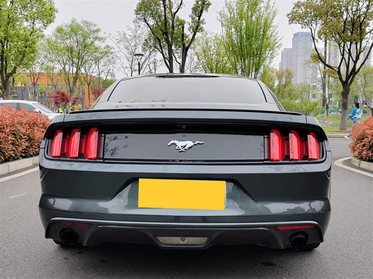 福特 Mustang  2015款 2.3T 性能版圖片