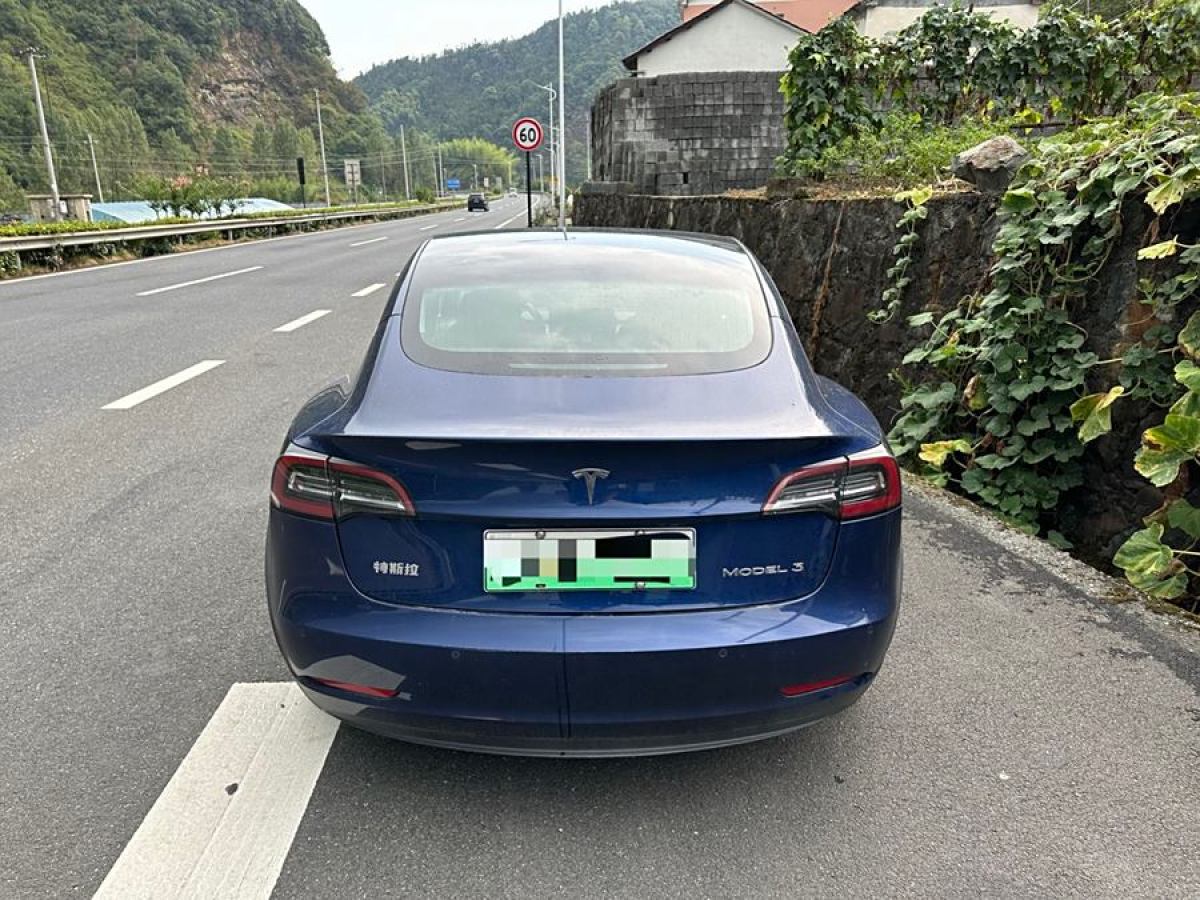 特斯拉 Model Y  2020款 改款 標準續(xù)航后驅(qū)升級版圖片