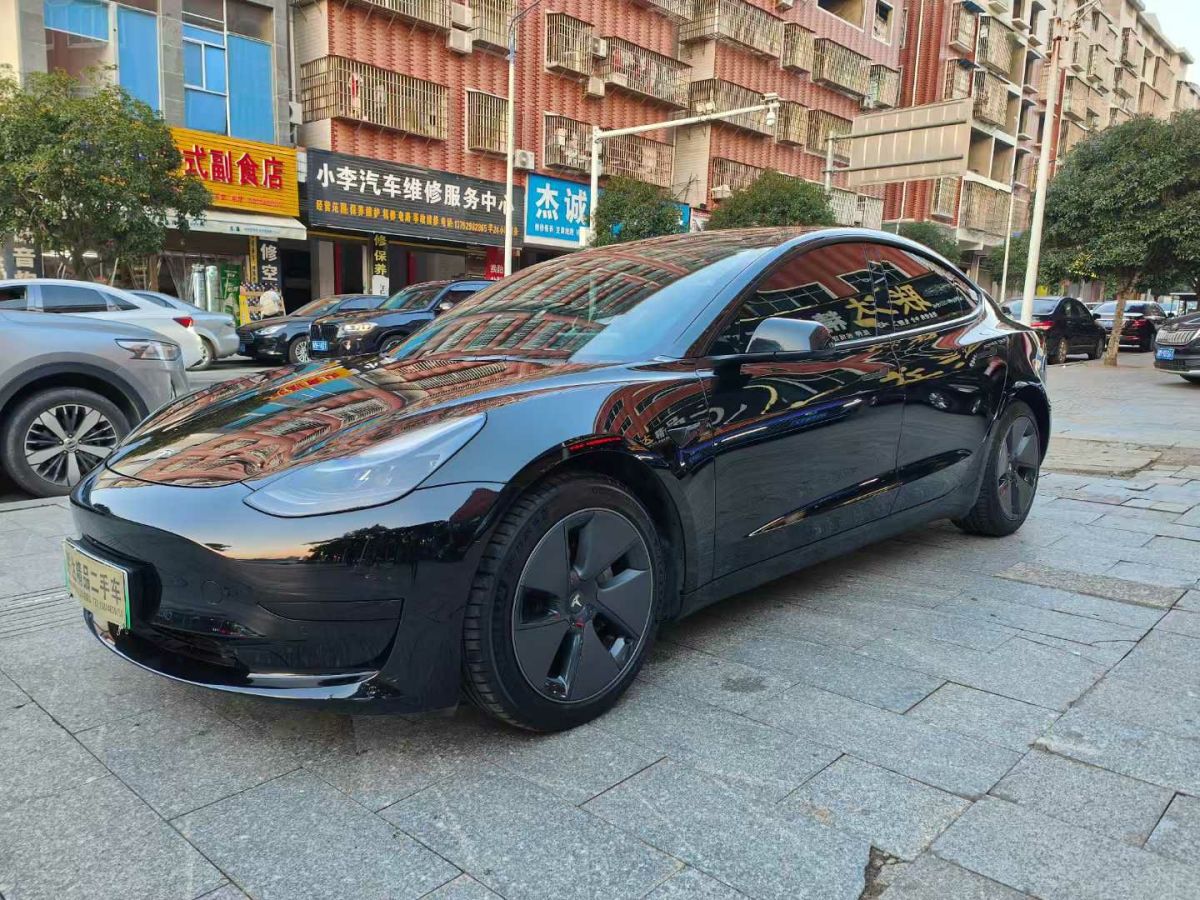 特斯拉 Model 3  2022款 Performance高性能全輪驅(qū)動版圖片