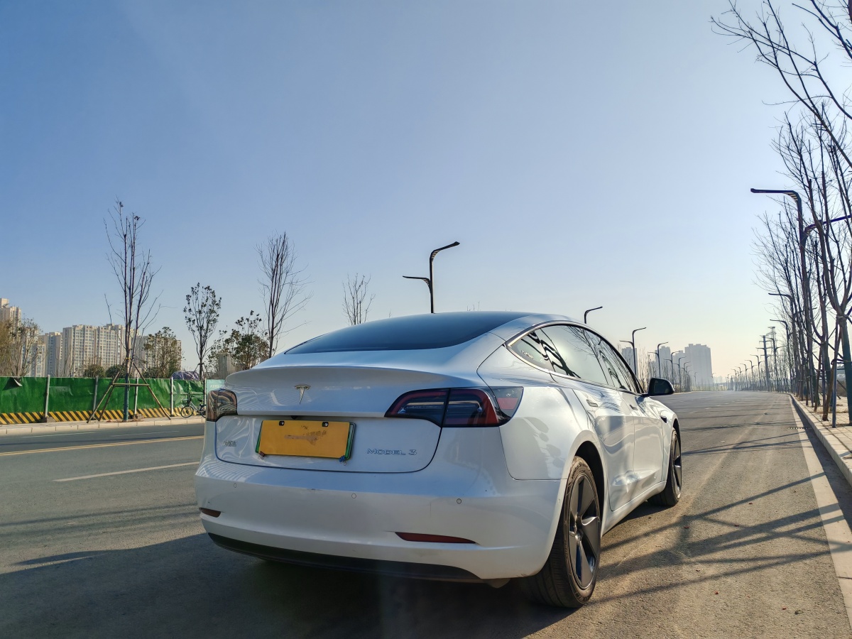 特斯拉 Model 3  2019款 標(biāo)準(zhǔn)續(xù)航后驅(qū)升級版圖片