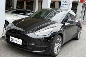 Model Y 特斯拉 長續(xù)航全輪驅(qū)動版 3D7