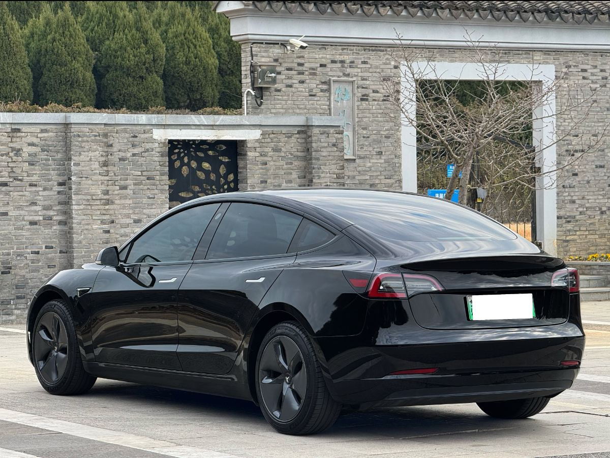 特斯拉 Model 3  2019款 標準續(xù)航后驅升級版圖片