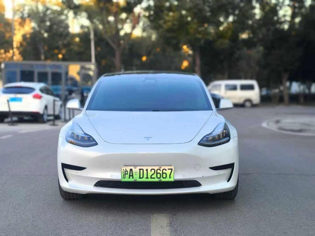 特斯拉 Model X  2020款 Performance 高性能版圖片