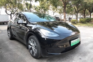 Model 3 特斯拉 后轮驱动版