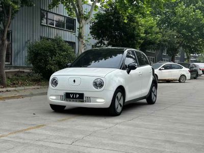 2020年1月 歐拉 歐拉白貓 305km 公務(wù)版圖片