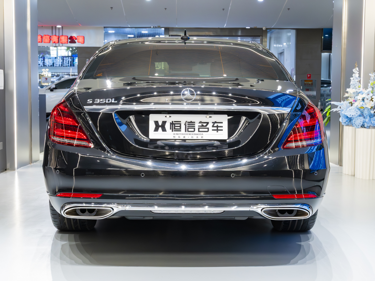 奔馳 奔馳S級  2019款 S 350 L 尊貴型 臻藏版圖片