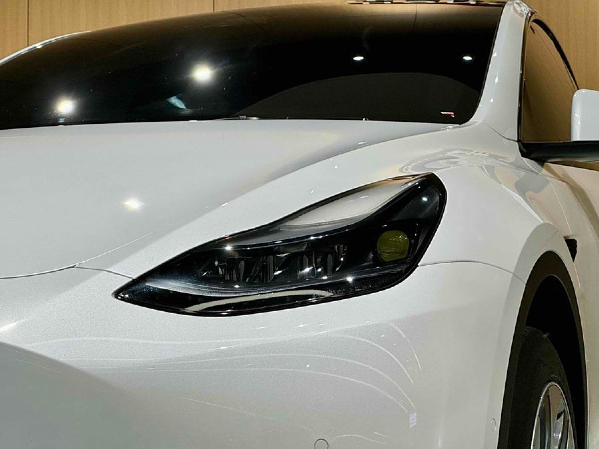 特斯拉 Model Y  2020款 改款 長(zhǎng)續(xù)航后輪驅(qū)動(dòng)版圖片