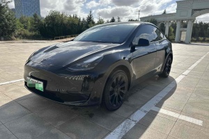 Model Y 特斯拉 后轮驱动版