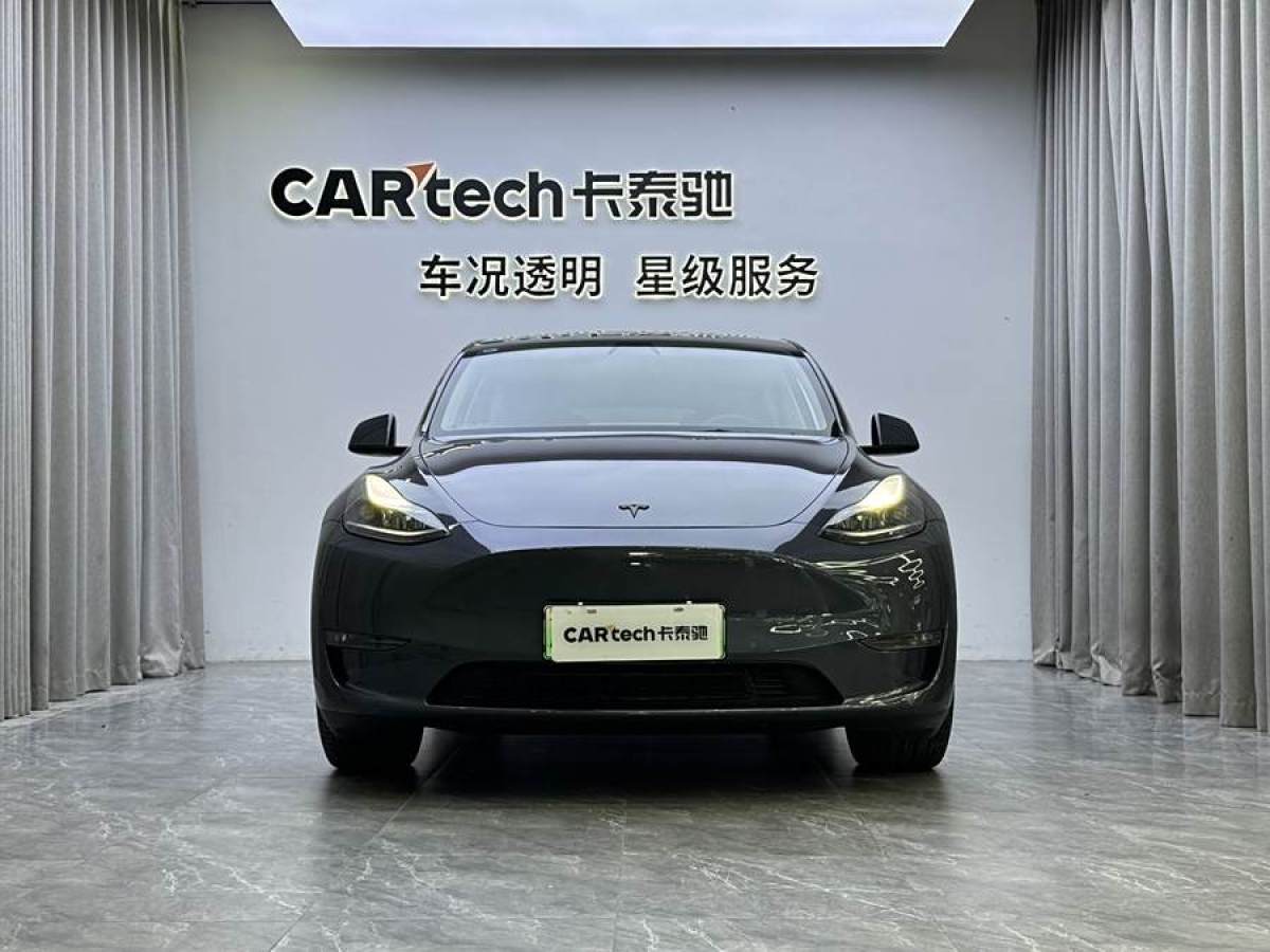 特斯拉 Model 3  2021款 改款 Performance高性能全輪驅(qū)動版圖片