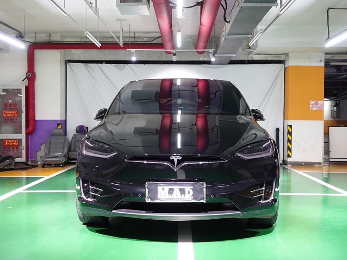 特斯拉 Model X  2019款 長續(xù)航版圖片