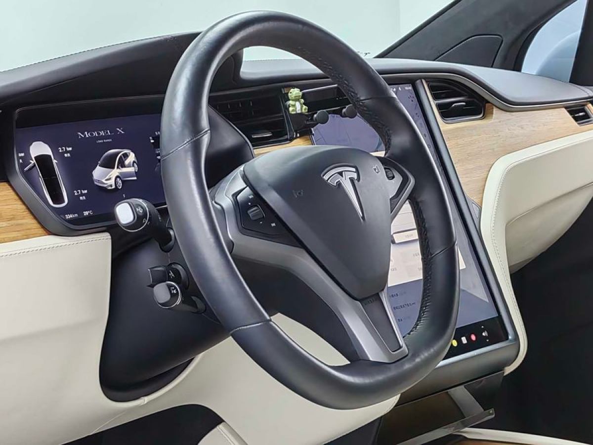 特斯拉 Model X  2019款 長續(xù)航版圖片