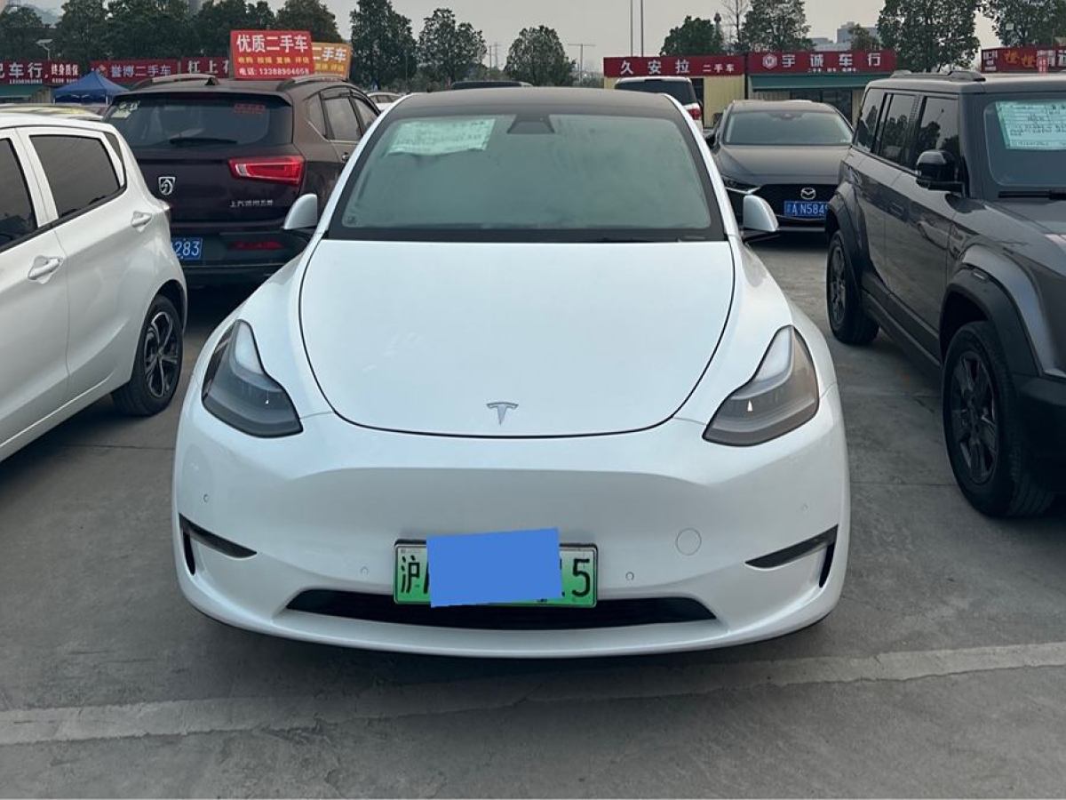 特斯拉 Model Y  2021款 長續(xù)航全輪驅(qū)動版 3D7圖片