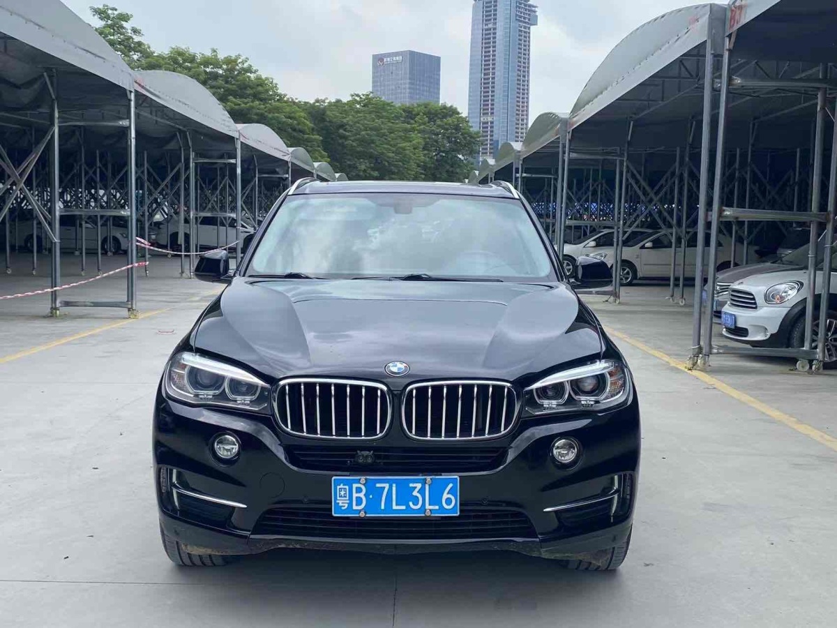 宝马 宝马X5  2014款 xDrive35i 领先型图片