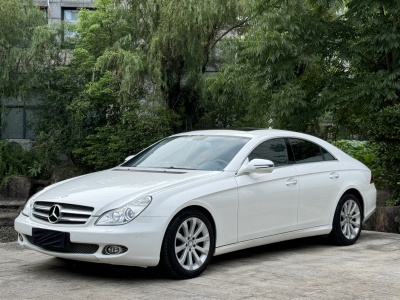 2011年01月 奔馳 奔馳CLS級(jí)(進(jìn)口) CLS 300圖片