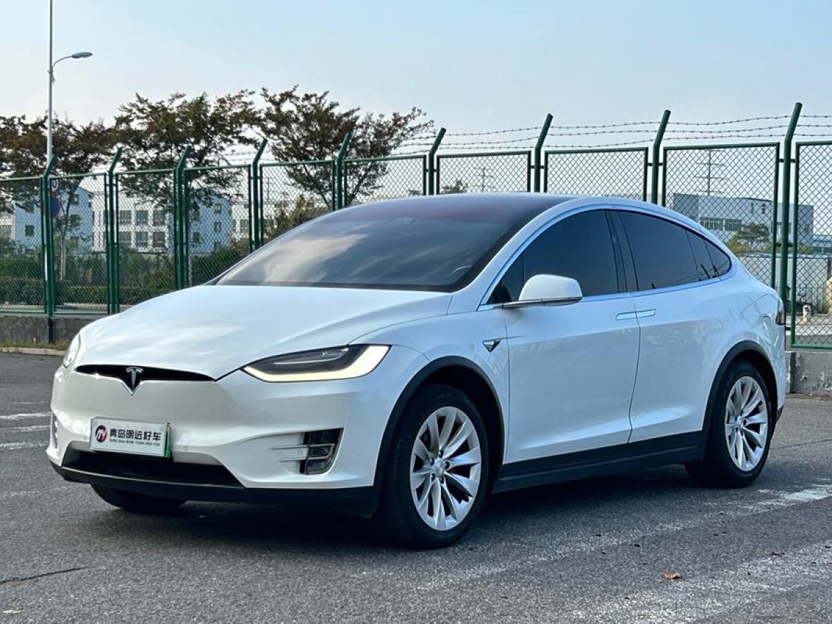 特斯拉 Model X  2019款 Performance 高性能版圖片