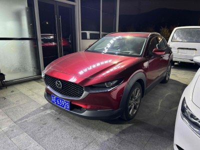 2020年6月 馬自達(dá) CX-30 2.0L 自動(dòng)尊悅型圖片