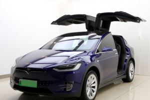 2021年1月 Model X 特斯拉 长续航升级版