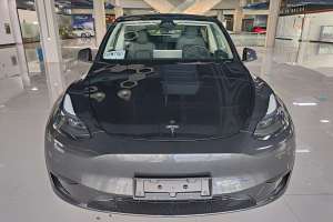 Model Y 特斯拉 长续航全轮驱动版