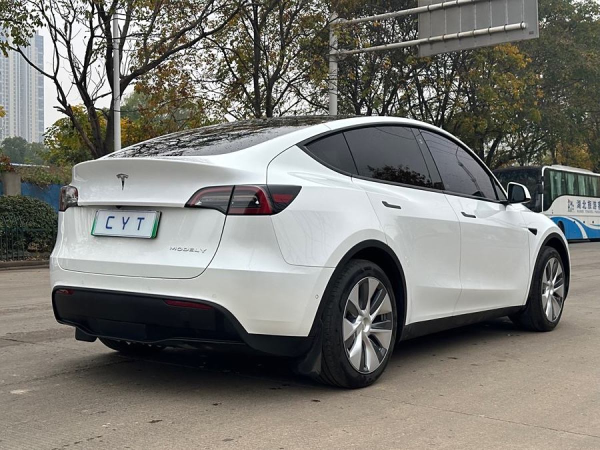 特斯拉 Model 3  2020款 改款 長(zhǎng)續(xù)航后輪驅(qū)動(dòng)版圖片