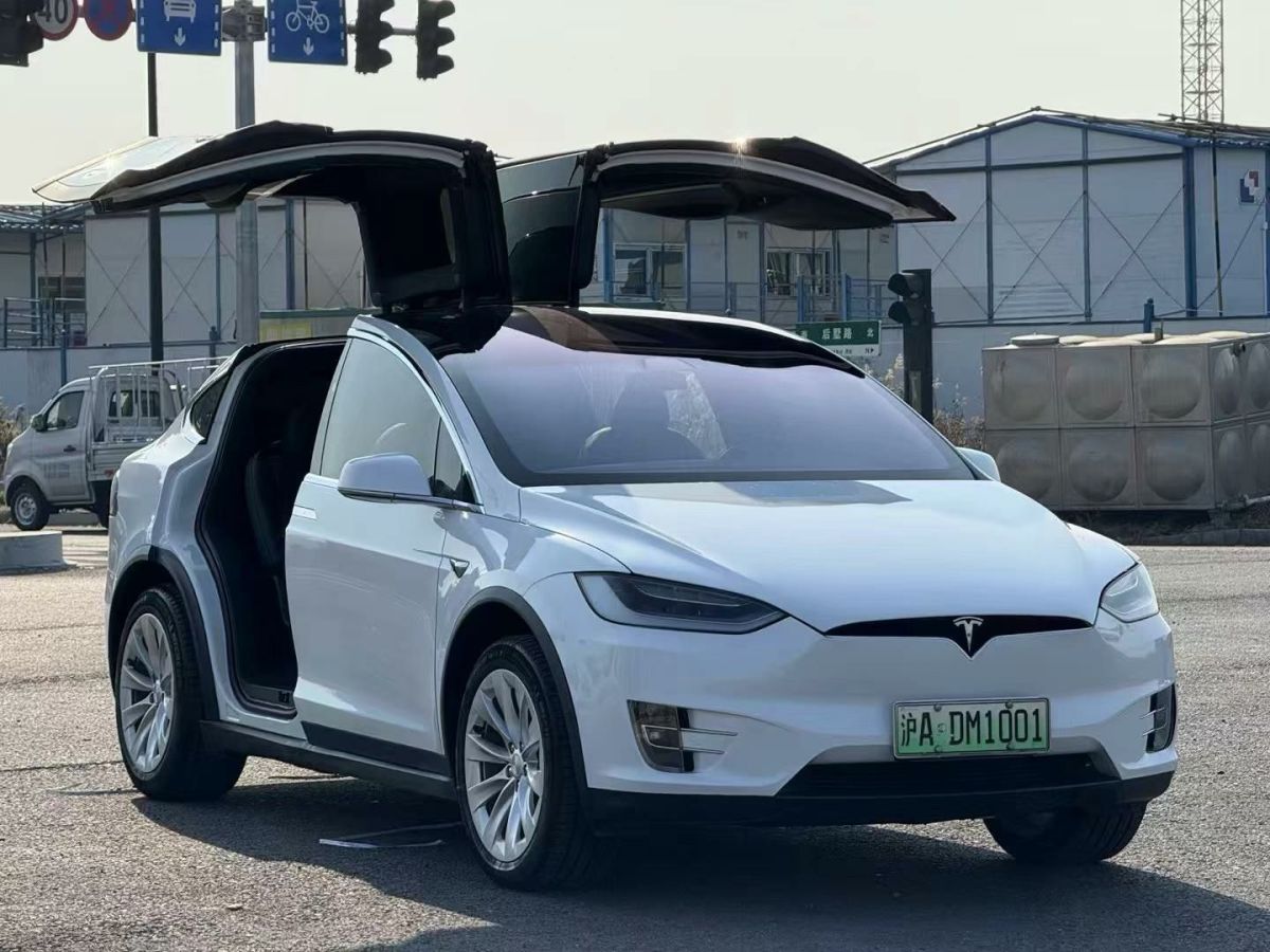 特斯拉 Model X  2020款 Performance 高性能版圖片