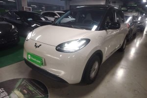 五菱繽果 五菱 333km 靈犀互聯(lián)款