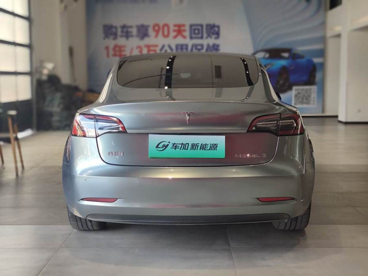 特斯拉 Model 3  2021款 改款 標準續(xù)航后驅(qū)升級版圖片