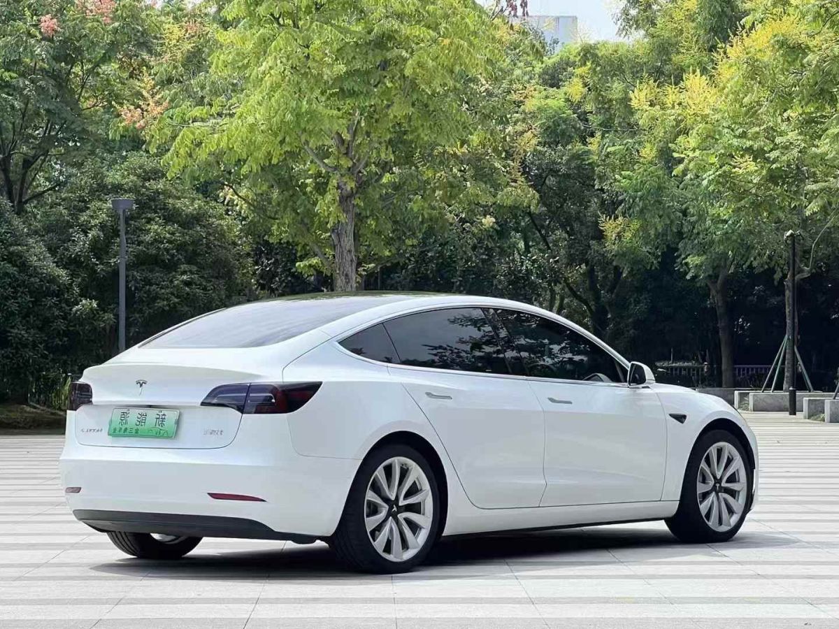 特斯拉 Model X  2020款 Performance 高性能版圖片