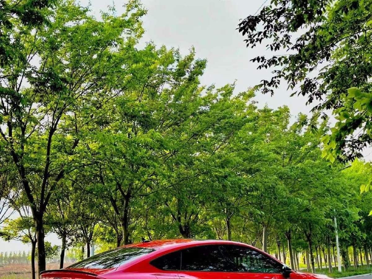 奥迪 奥迪RS 5  2022款 RS 5 2.9T Coupe 黑曜版图片