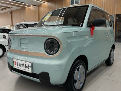 2024年12月 吉利 熊貓mini 200km 耐力熊圖片