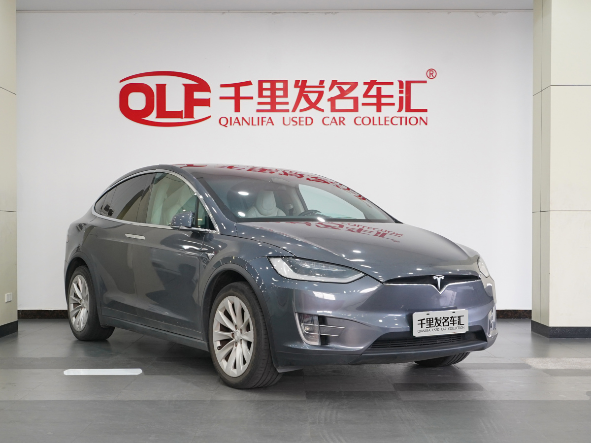 特斯拉 Model X  2017款 Model X 100D 长续航版图片