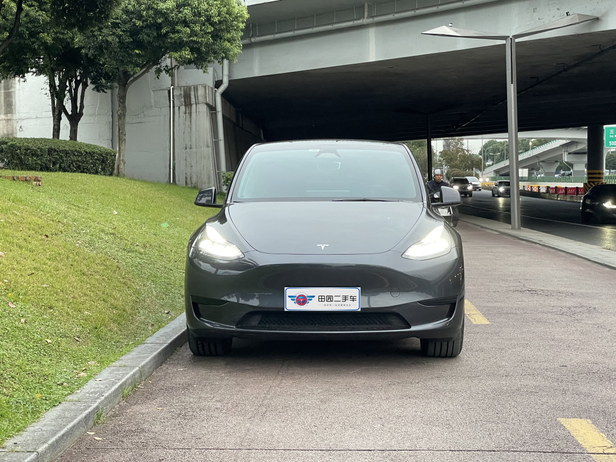 2024年5月特斯拉 Model Y  2020款 改款 長續(xù)航后輪驅(qū)動版