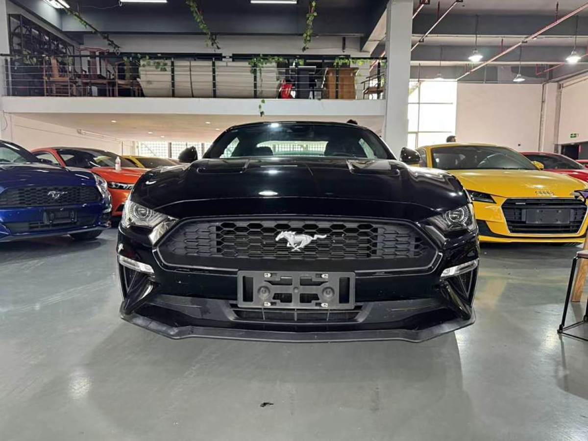 福特 Mustang  2021款 2.3L EcoBoost圖片