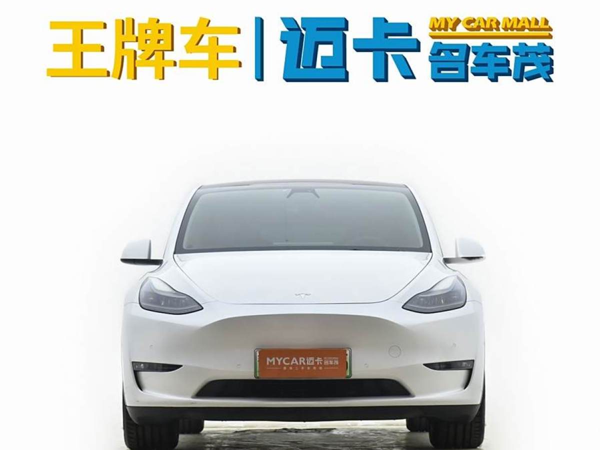 特斯拉 Model 3  2021款 長(zhǎng)續(xù)航全輪驅(qū)動(dòng)版 3D7圖片