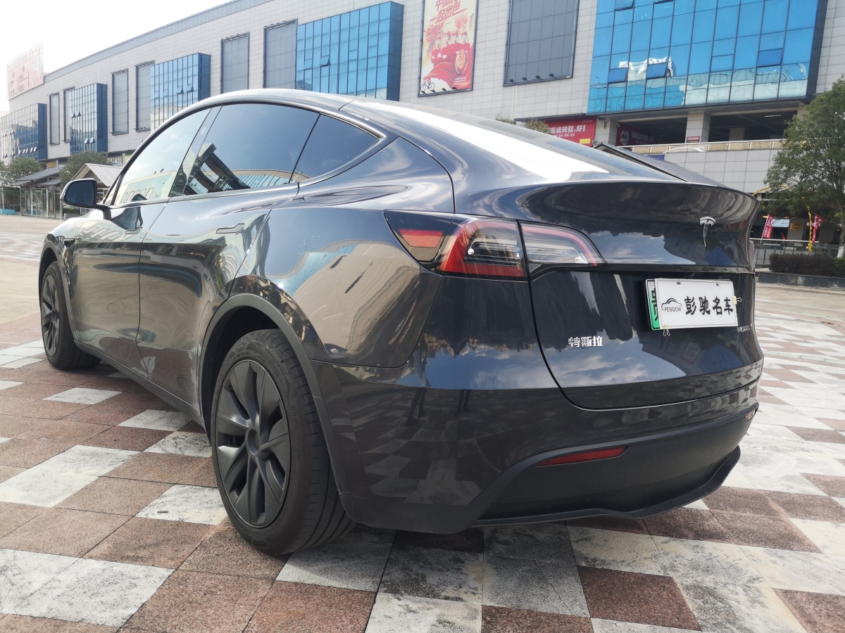 特斯拉 Model Y  2020款 改款 長續(xù)航后輪驅(qū)動版圖片