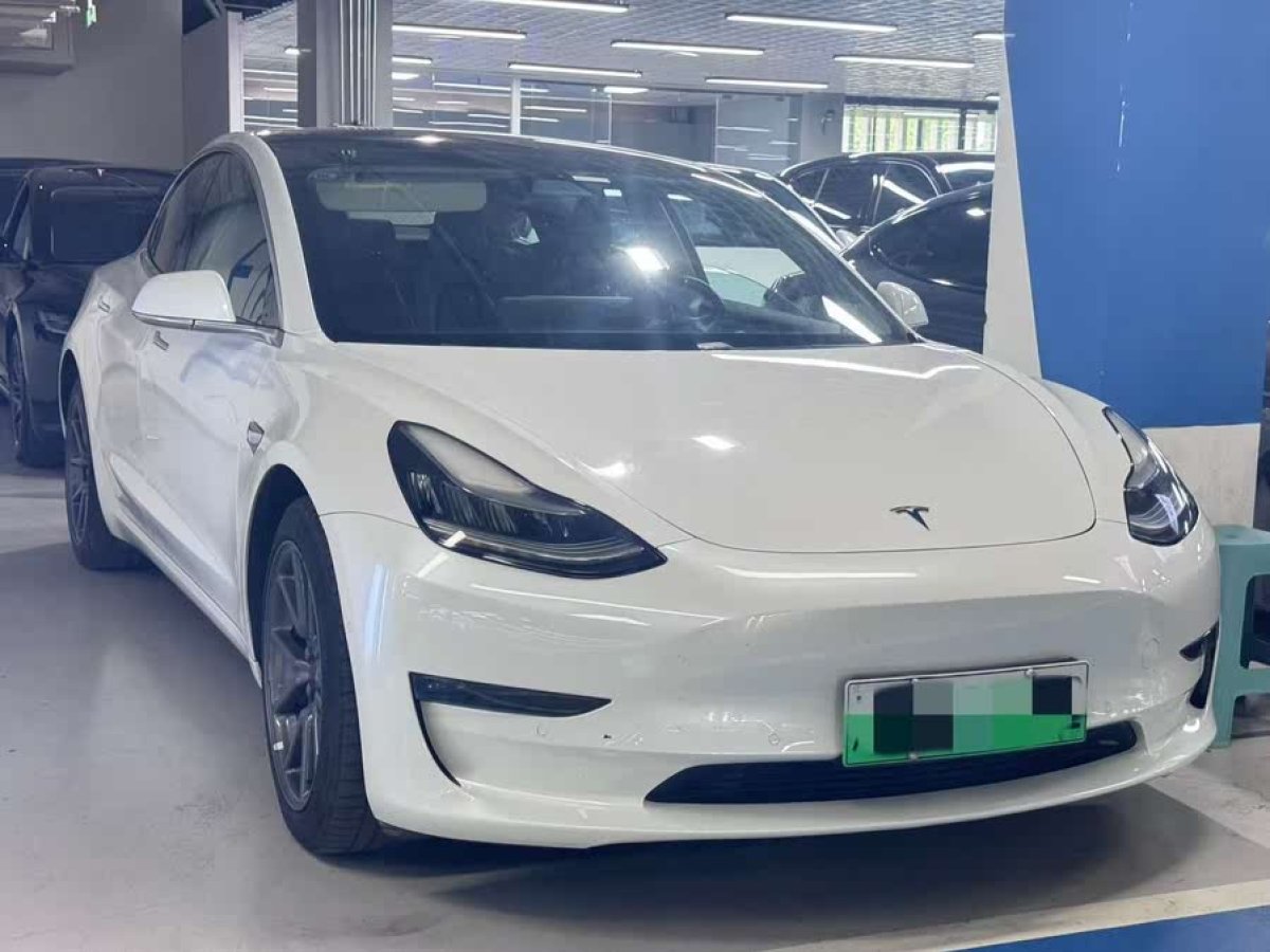 特斯拉 Model 3  2019款 長續(xù)航全輪驅(qū)動版圖片