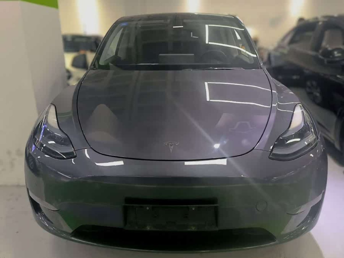 特斯拉 Model Y  2021款 標準續(xù)航后驅版圖片