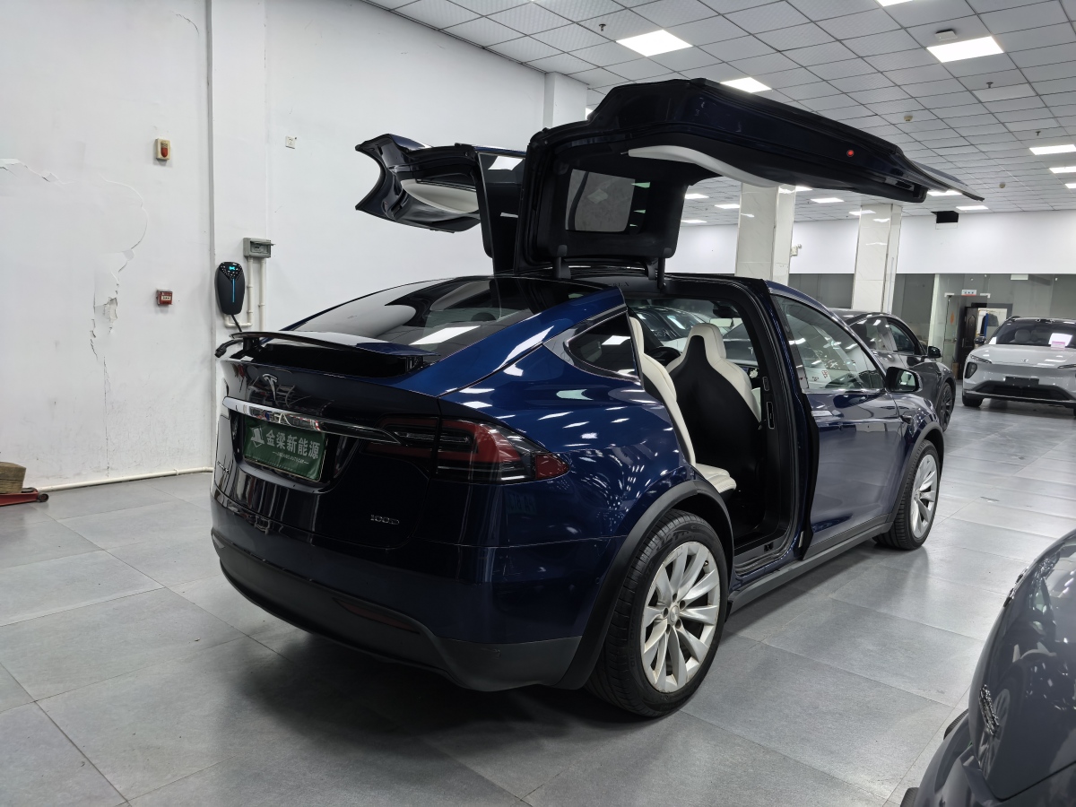 特斯拉 Model X  2017款 Model X 100D 長(zhǎng)續(xù)航版圖片