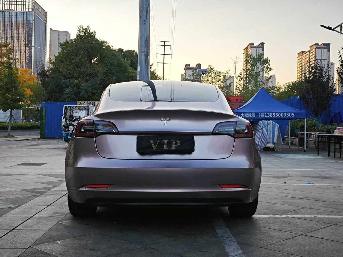 特斯拉 Model 3  2019款 標(biāo)準(zhǔn)續(xù)航后驅(qū)升級版圖片