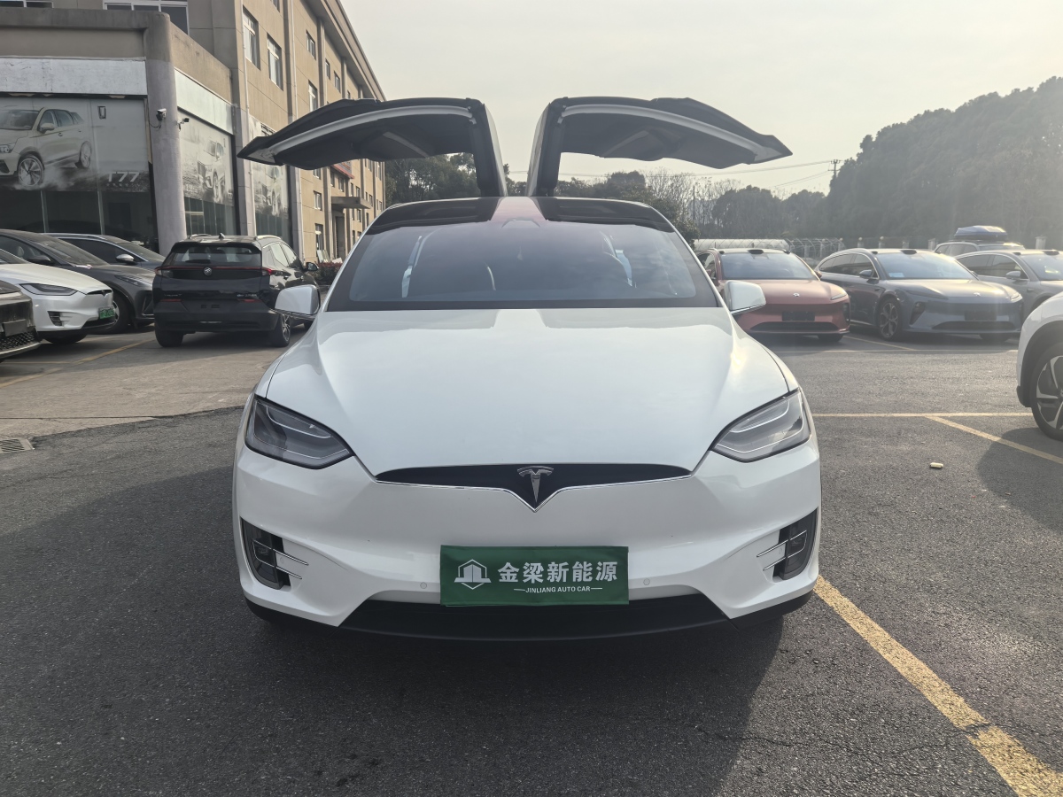 特斯拉 Model X  2019款 長續(xù)航版圖片