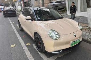 歐拉好貓 歐拉 400km標(biāo)準(zhǔn)續(xù)航 公務(wù)版 三元鋰