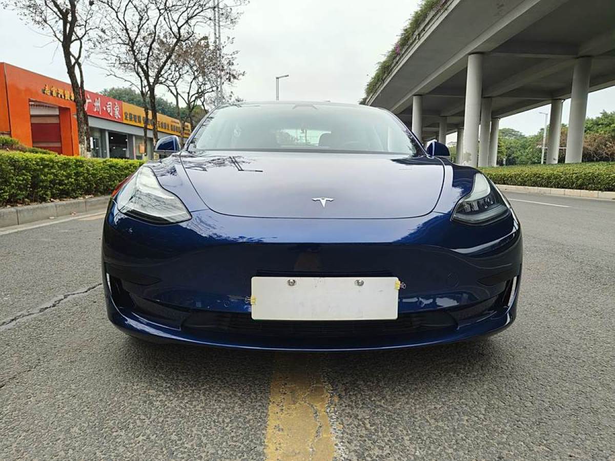 特斯拉 Model 3  2020款 改款 標(biāo)準(zhǔn)續(xù)航后驅(qū)升級版圖片