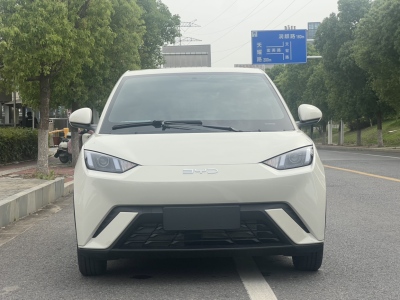 2025年3月 比亞迪 海鷗 305km 活力版圖片