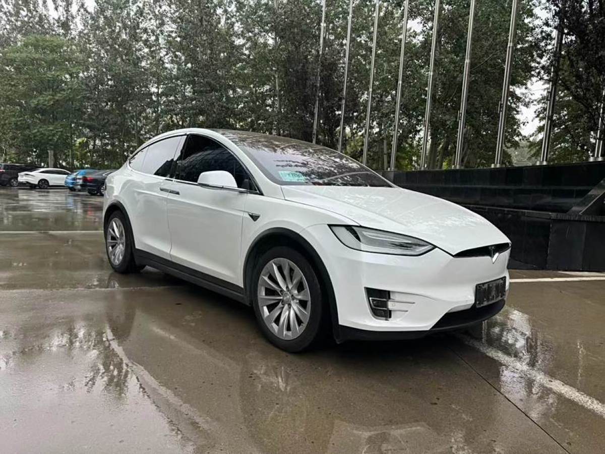 特斯拉 Model X  2017款 Model X 100D 長續(xù)航版圖片