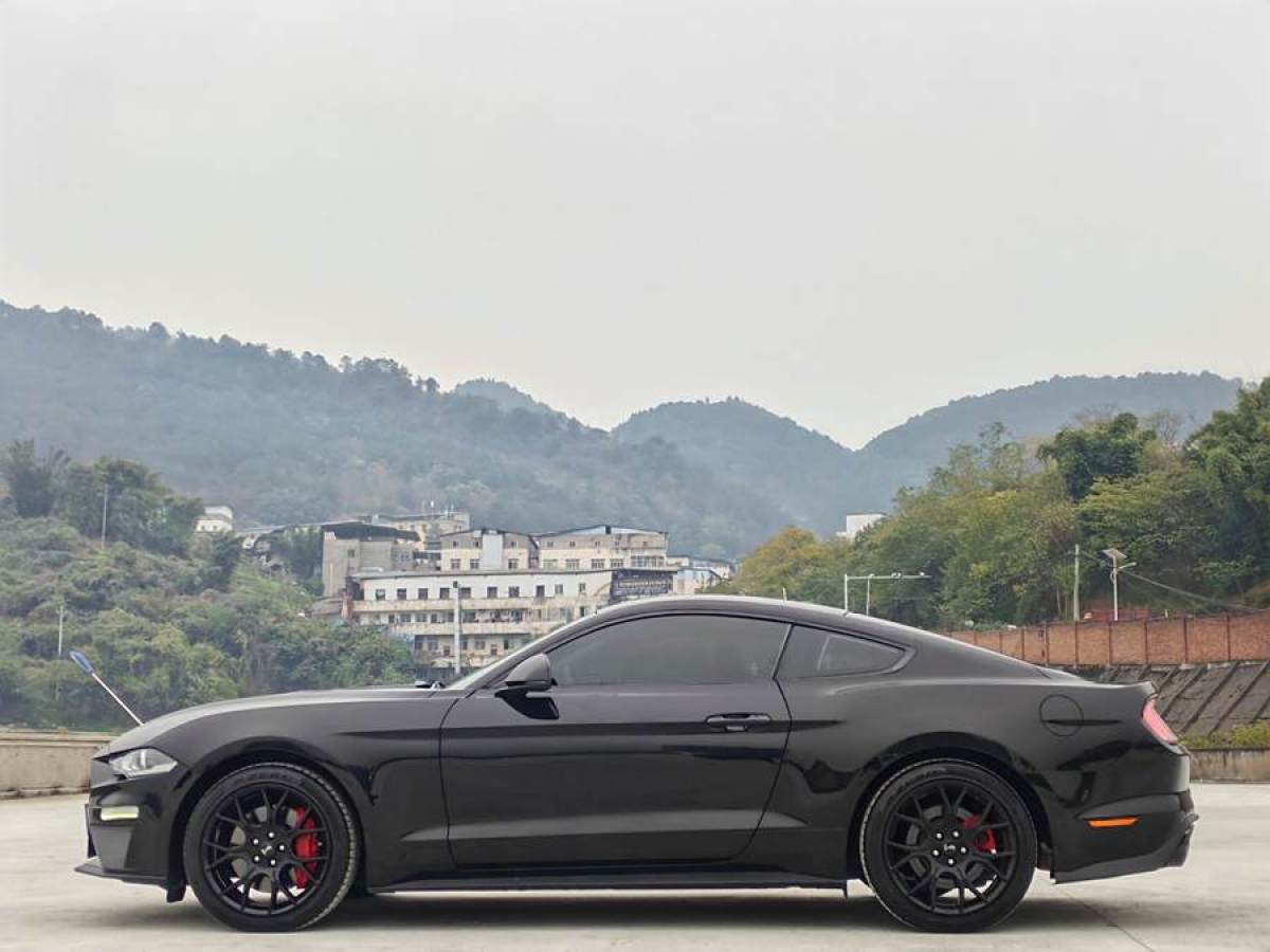 福特 Mustang  2019款 2.3L EcoBoost圖片