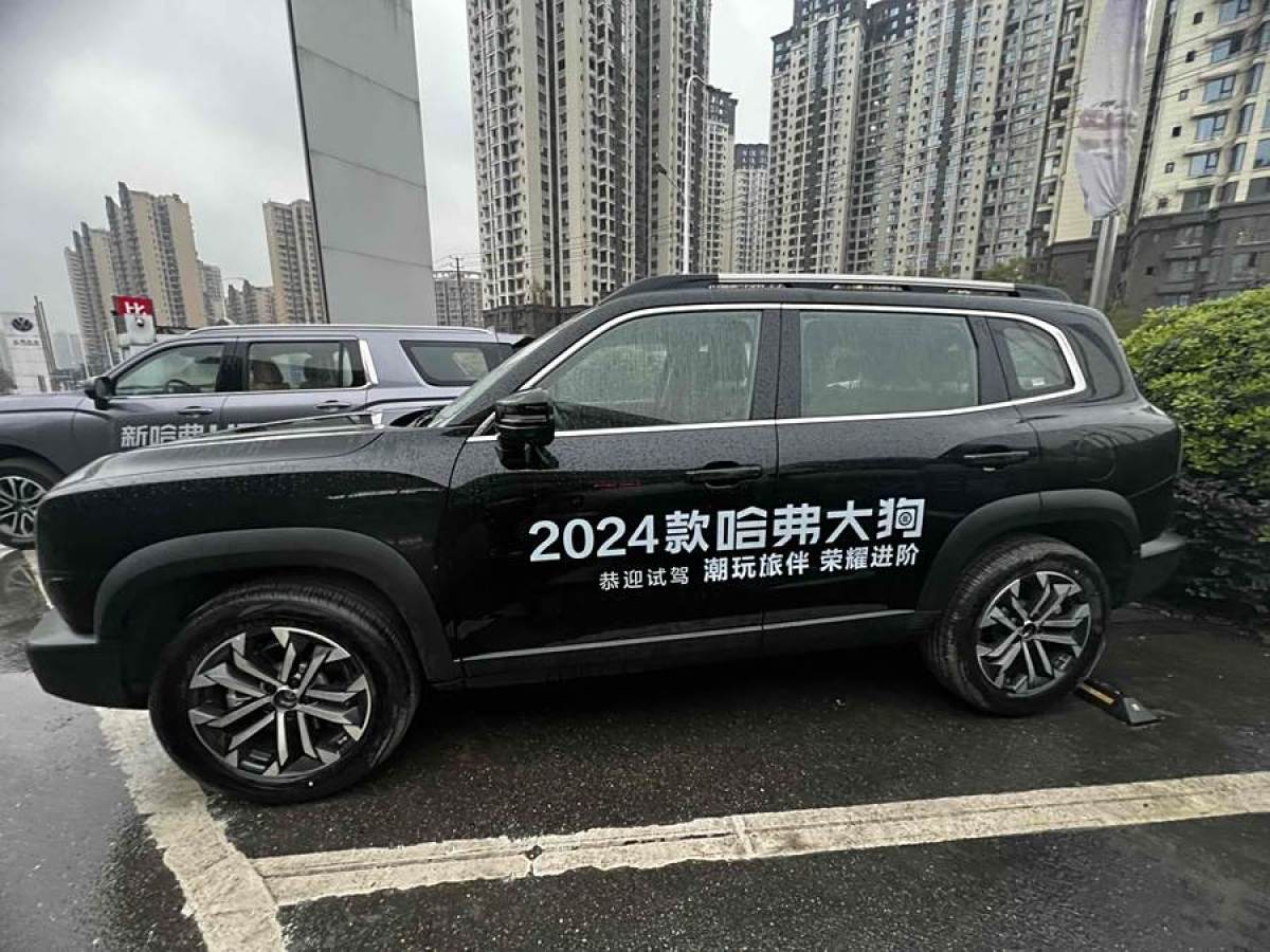 哈弗 哈弗大狗  2024款 1.5T DCT邊牧版圖片