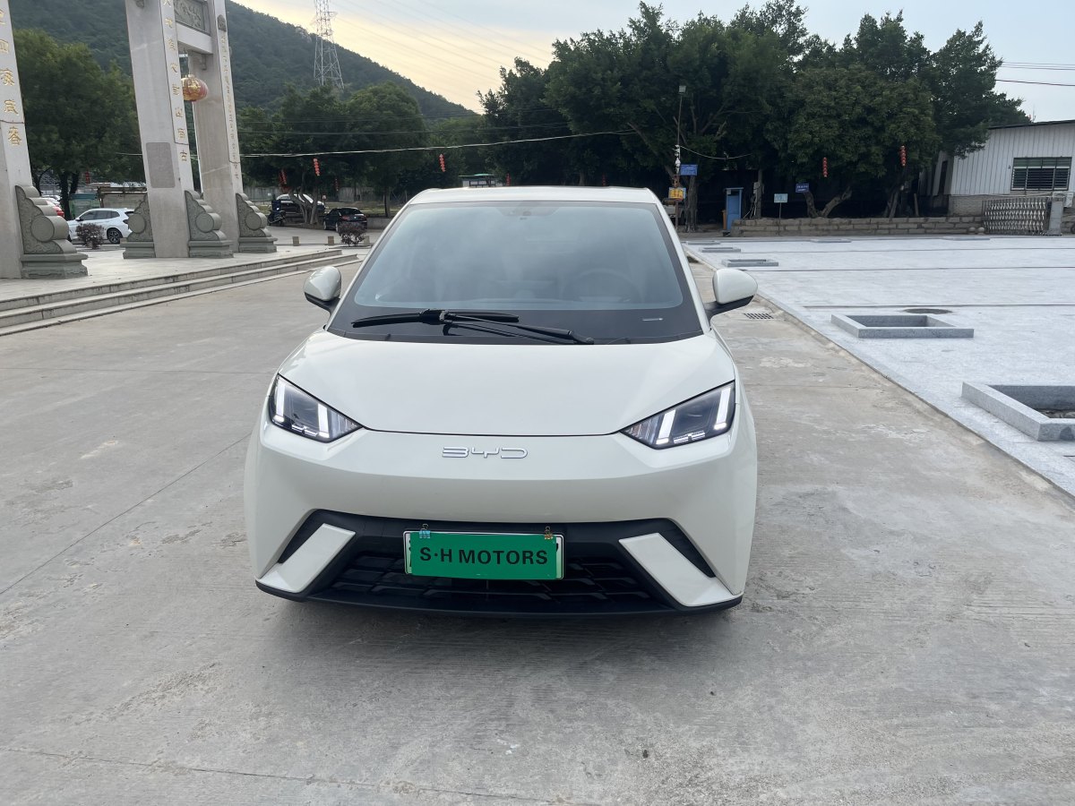 比亞迪 海鷗  2023款 飛翔版圖片