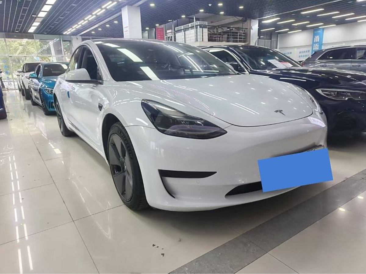 特斯拉 Model 3  2021款 改款 標(biāo)準(zhǔn)續(xù)航后驅(qū)升級(jí)版圖片